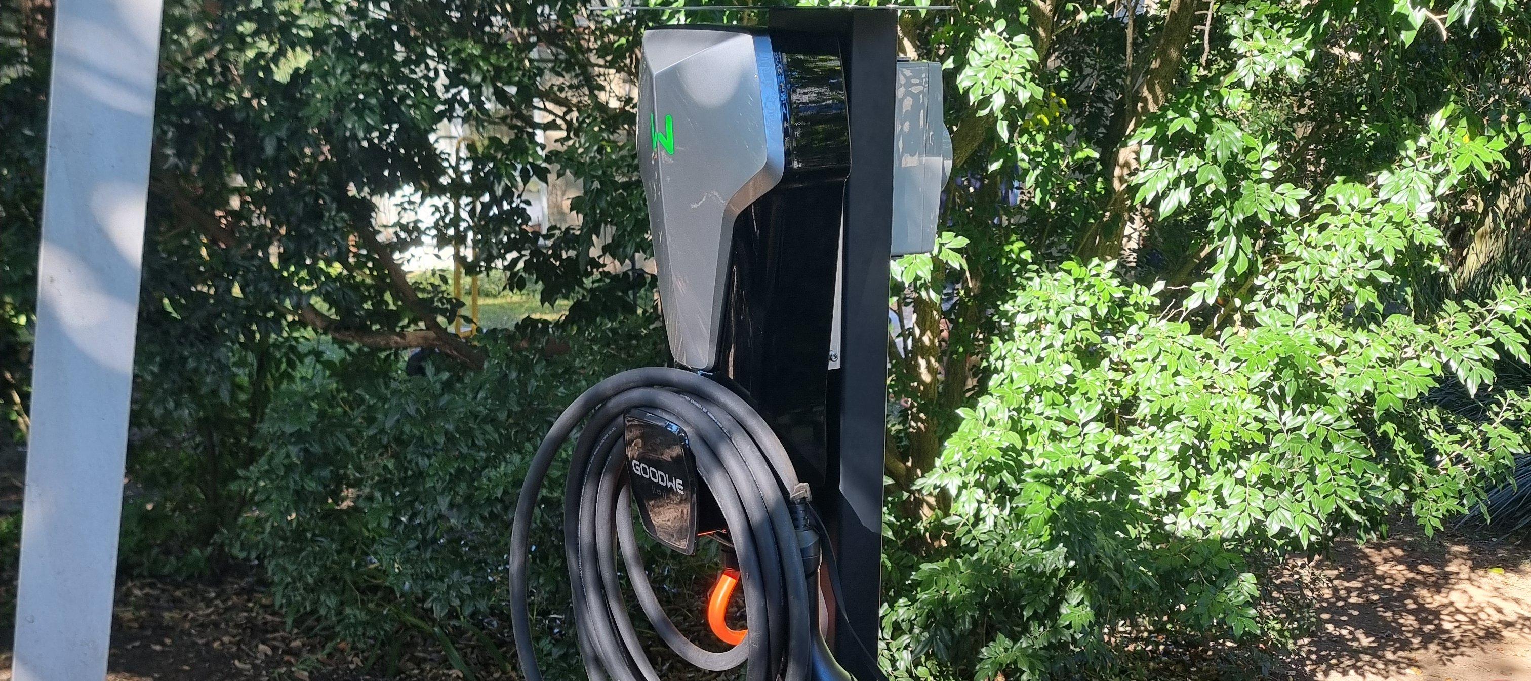 Service image